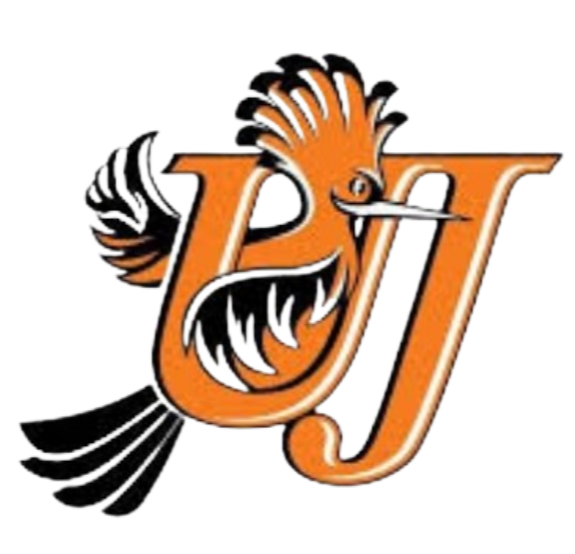 UniversityofJohannesburgFC